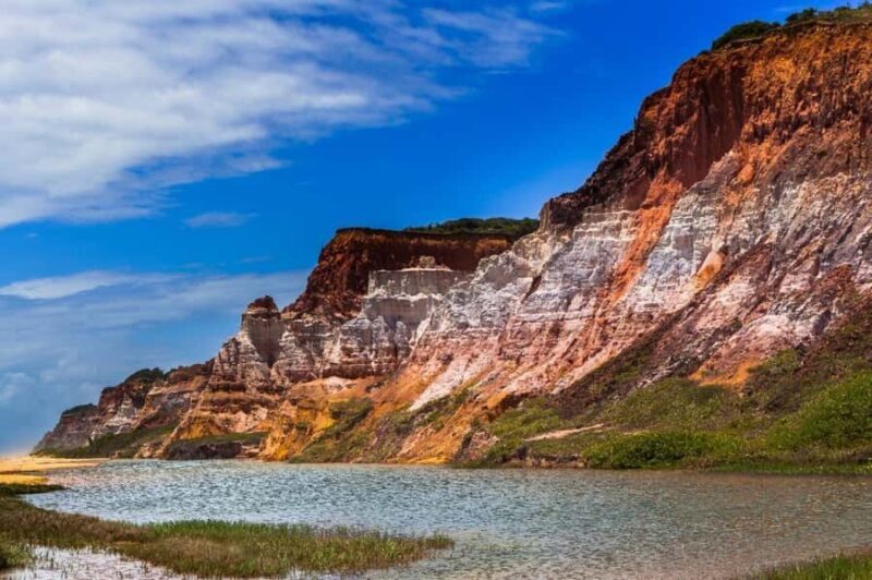 Maceio: Tour to Gunga Beach - Potential Drawbacks