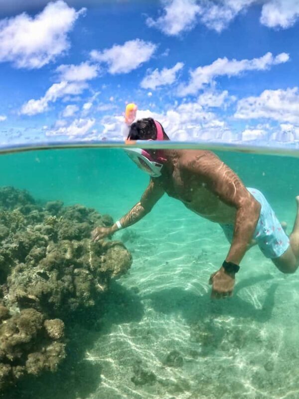 Maceio: Tour to São Miguel dos Milagres - Who Should Consider This Tour?