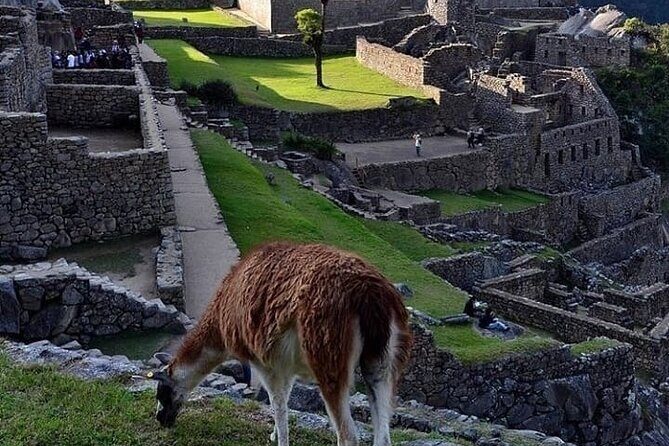 Machu Picchu by Car 3-Day 2-Night Including Huayna Picchu - Authentic Experiences and Traveler Impressions