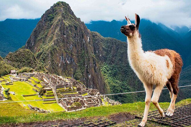 Machu Picchu Day Trip from Ollantaytambo and Urubamba - The Itinerary: What to Expect on Your Day