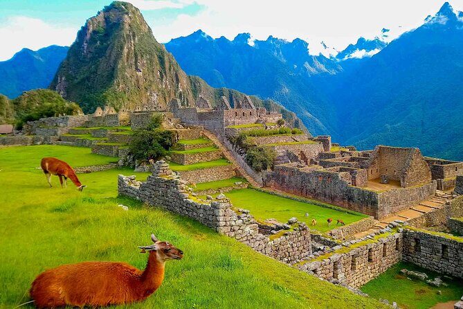 Machu Picchu Day Trip from Ollantaytambo and Urubamba - The Value of the Experience