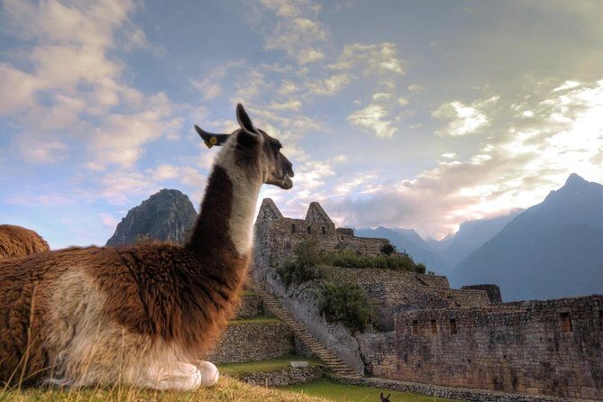 Machu Picchu full day - Key Points