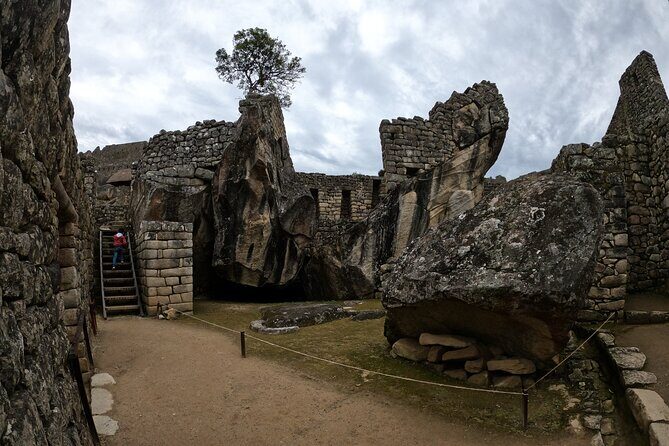 Machu Picchu Full Day - Group Services - Who Should Book This Tour?