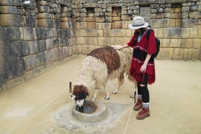 Machu Picchu Full Day - Private Tour - What’s Included and What’s Not