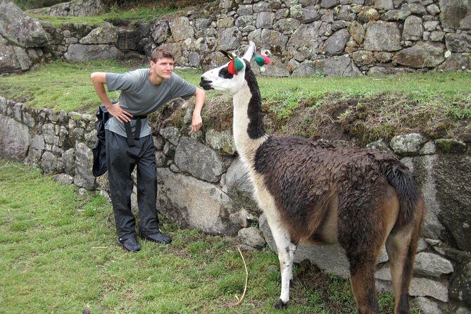 Machu Picchu Full Day Tour - Who Will Love This Tour?