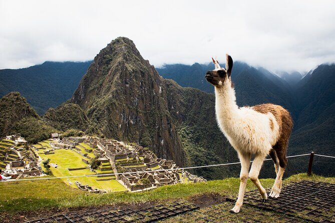 Machu Picchu Full-Day Tour by Train from Cusco - Small Group - A Complete Day to Machu Picchu: What You Need to Know