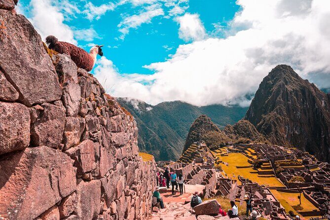 Machu Picchu Full-Day Tour by Train from Cusco - Small Group - The Itinerary in Detail