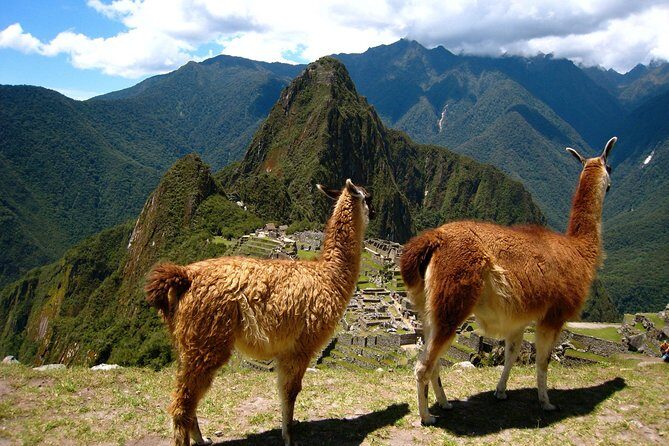 Machu Picchu Full-Day Tour from Cusco with Panoramic Train - How the Tour Works