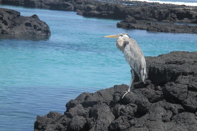 Machu Picchu & Galapagos Islands Tour- 10 Days - Frequently Asked Questions