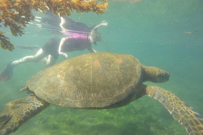 Machu Picchu & Galapagos Islands Tour- 10 Days - Final Thoughts