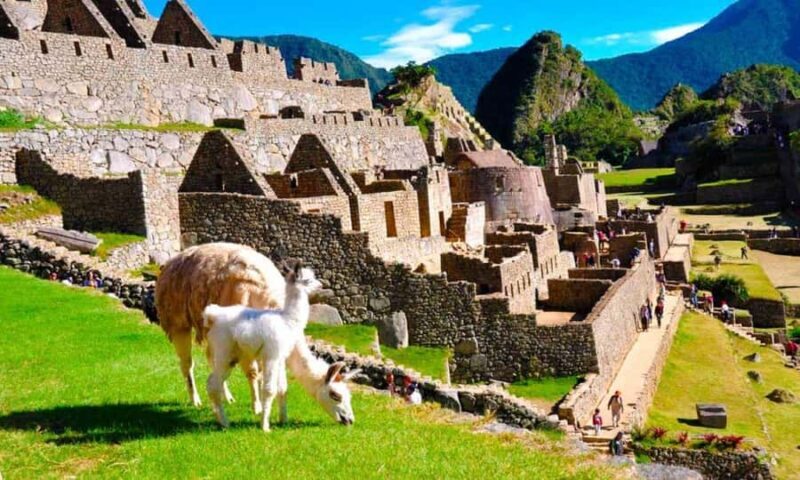 Machu Picchu Ruins + Machu Picchu Mountain - FAQ