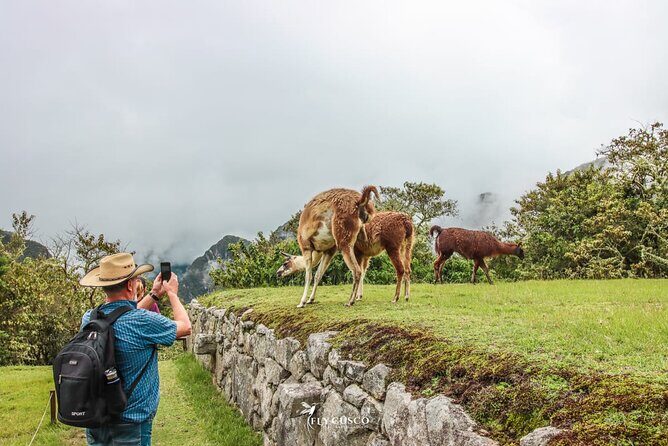 Machu Picchu Ticket, Bus & Private Guide - Language Options - A Deep Dive into the Machu Picchu Tour Experience