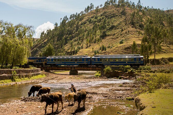 Machu Picchu Tour Full Day by Vistadome Train - A Thorough Look at the Machu Picchu Full-Day Vistadome Experience