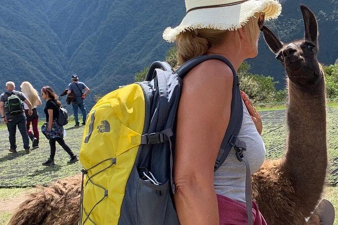 Machu Picchu Tour in 1 Day - The Details That Make or Break the Experience