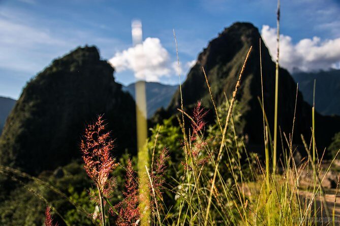 Machu Picchu Trips One Day Tour with Inca Rail Train from Cusco - The Sum Up: Is It Worth It?