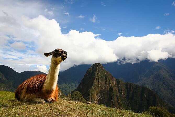 Machupicchu - Private Guide - Authentic Experiences and Authentic Advice