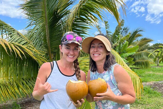 Macnut Tour, Picnic lunch and Maui Bees - Discover the Heart of Maui’s Sustainability with the Macnut Tour, Picnic Lunch, and Maui Bees