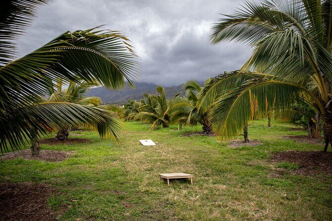 Macnut Tour, Picnic lunch and Maui Bees - Key Points