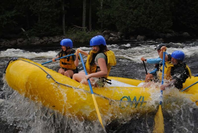 Mad Adventure rafting - The Sum Up: Is It Worth Your Time?