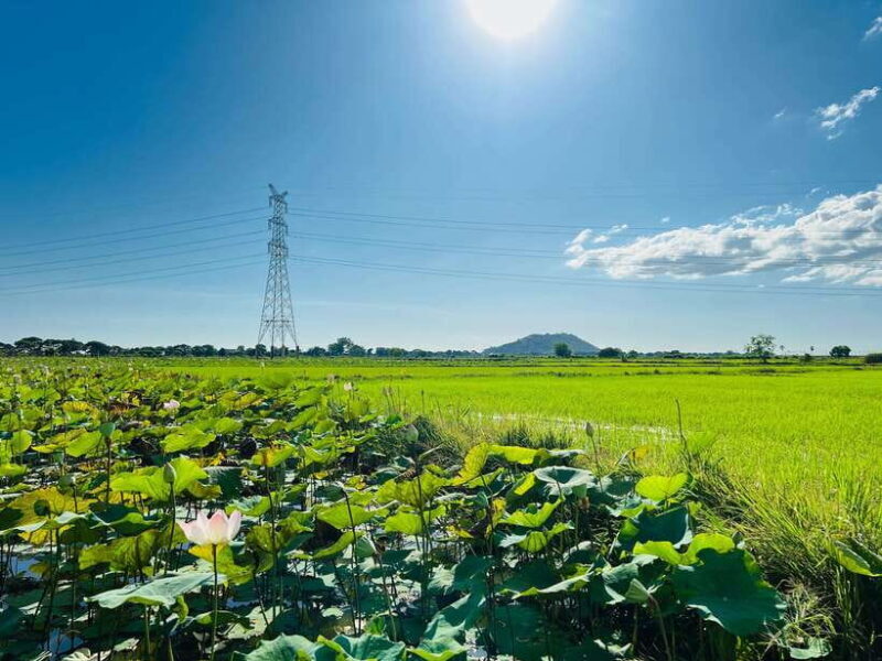 Mad Monkey Siem Reap: Sunset Countryside Cycling Tour - Key Points