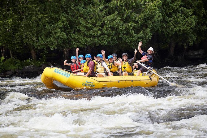 Madawaska River Family Rafting - Why Families, First-Time Rafting Enthusiasts, and Nature Lovers Will Enjoy It