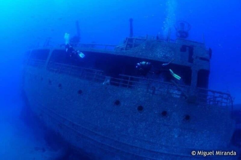 Madeira: 4-hour Scuba Dive from Porto Santo Island - A Closer Look at the 4-Hour Porto Santo Dive Experience