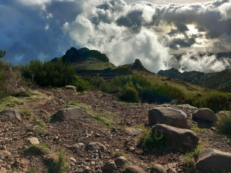 Madeira 4x4 Jeep Safari: Porto Moniz, Lava Pools & Fanal - A detailed look at what to expect on the Madeira 4x4 Jeep Safari