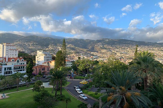 Madeira Airport Round Trip Private Transfers Services - Madeira Airport Round Trip Private Transfers Services: A Practical, Comfortable Solution for Your Arrival and Departure