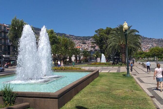 Madeira Airport Round Trip Private Transfers Services - Final Thoughts: Who Will Benefit Most?