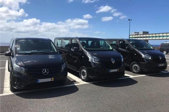 Madeira Airport Round Trip Shuttle Transfers Service - Detailed Review of Madeira Airport Round Trip Shuttle Transfers Service