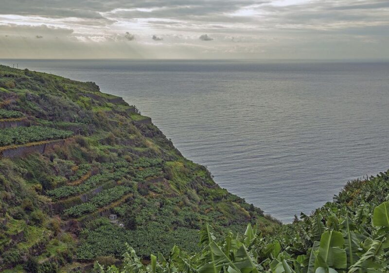 Madeira: Amazing West - Porto Moniz - Frequently Asked Questions