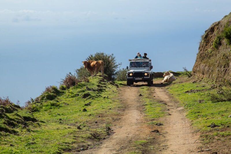 Madeira: Amazing West - Porto Moniz - Final Thoughts