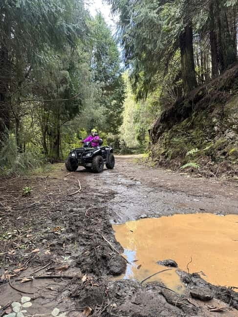 Madeira: ATV or QUAD off-road private adventure Santana - Madeira: ATV or QUAD off-road private adventure Santana