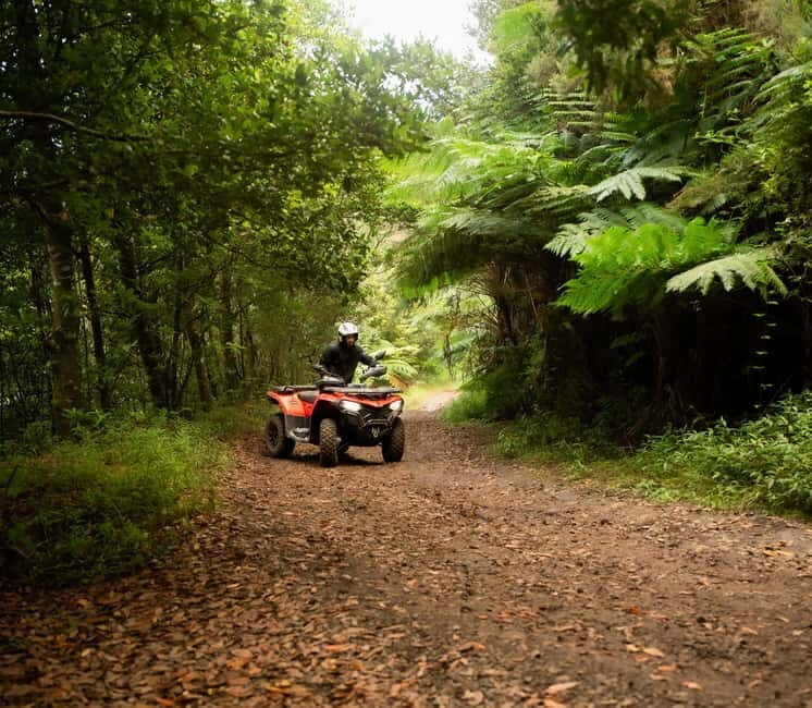 Madeira: Aventura Off-Road de ATV ou Quad - Adrenalina - The Experience in Detail