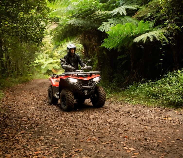 Madeira: Aventura Off-Road de ATV ou Quad - Adrenalina - The Sum Up