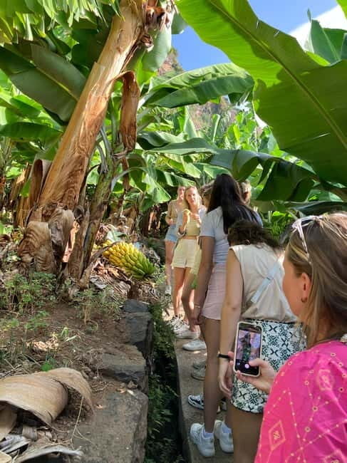 Madeira: Banana Plantation Guided Tour with Tasting - Practical Considerations