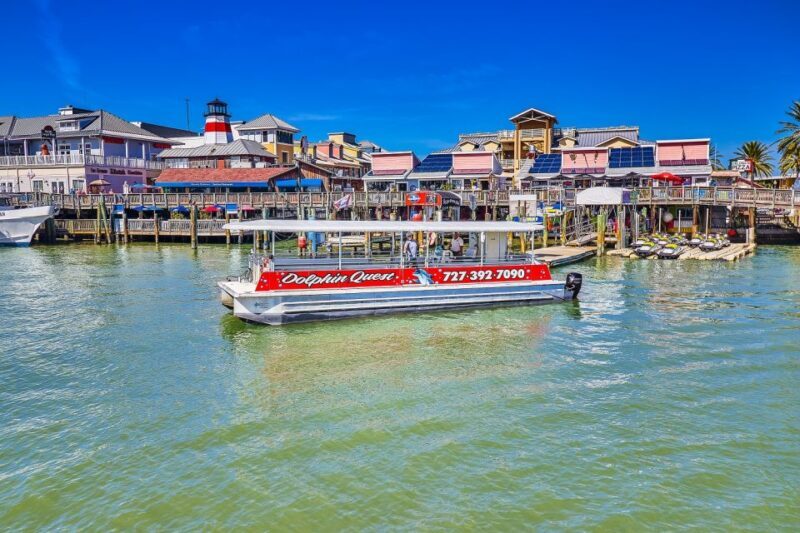 Madeira Beach: Guided Dolphin Watching Eco-Friendly Cruise - An In-Depth Look at the Dolphin Watching Eco-Friendly Cruise