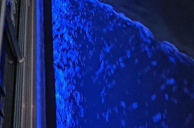 Madeira Beach Sunset Cruise Family Fun on Clean Boat - Key Points