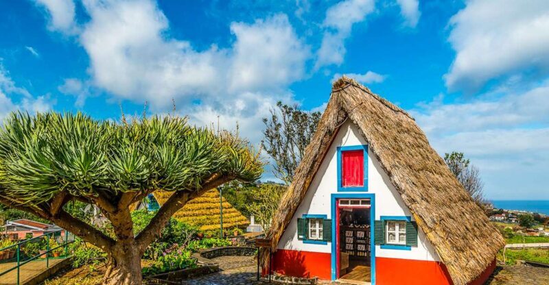 Madeira: Best of the East Tour from Funchal - Exploring the Eastern Side of Madeira in Detail
