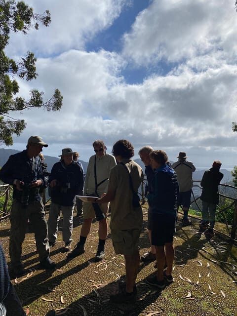 Madeira: Birdwatching - The Endemics - Who Should Consider This Tour