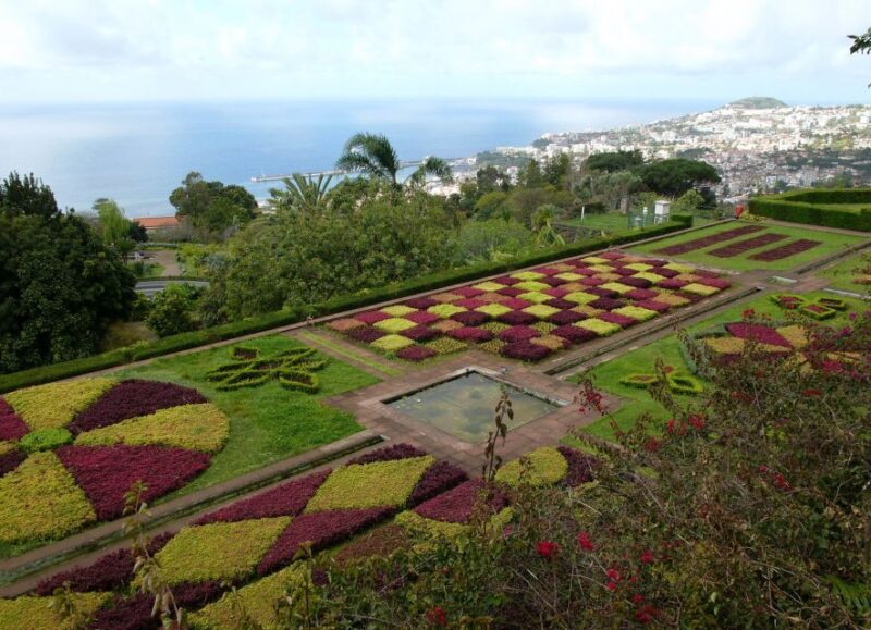 Madeira: Botanical Garden in a Tuk-Tuk Tour - The Value of the Experience