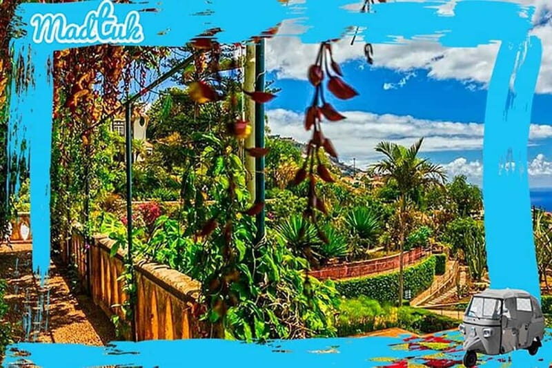 Madeira: Botanical Gardens + Old Town Tuk-Tuk Tour by MadTuk - Summary and Final Thoughts