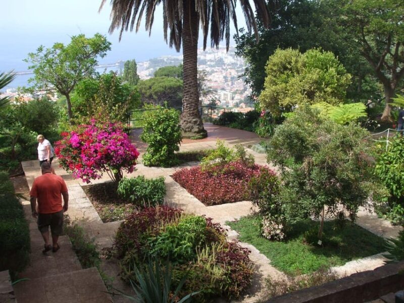 Madeira: Botanical, Monte Palace, and Palheiro Gardens - Who Should Consider This Tour?