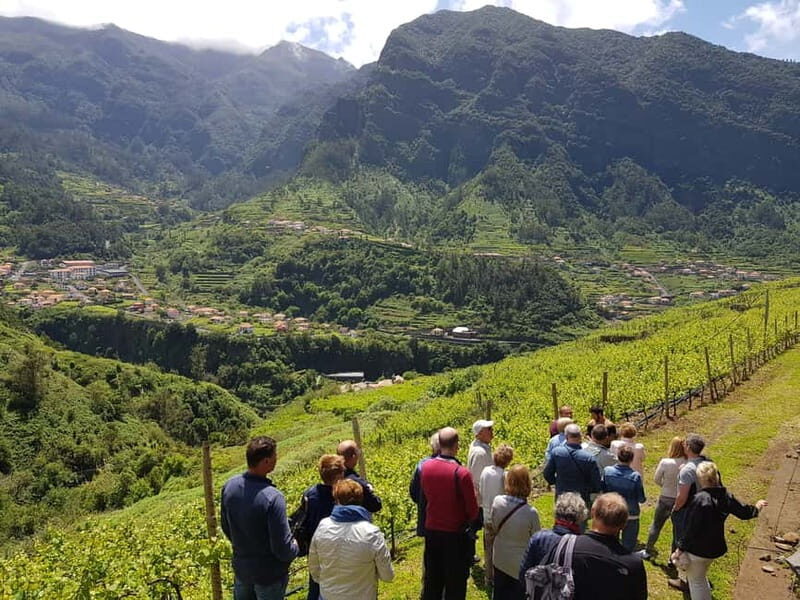Madeira: Cabo Girão, Wines Experience and Dolphins Watching - Practical Details and Logistics