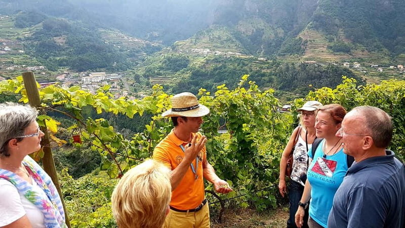 Madeira: Cabo Girão, Wines Experience and Dolphins Watching - FAQ
