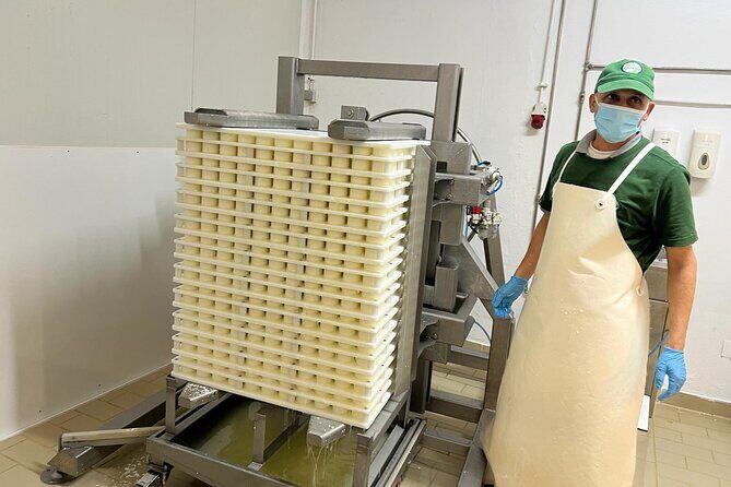 Madeira Cheese Tasting and Tea Tour - FAQ: Your Practical Questions Answered