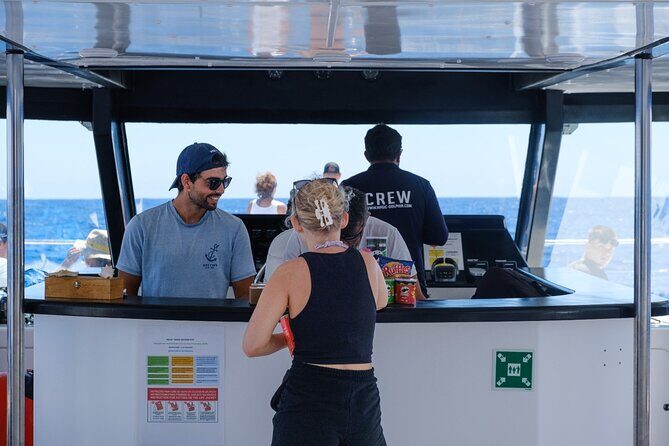 Madeira Dolphin and Whale Watching on a Ecological Catamaran - The Experience in Detail