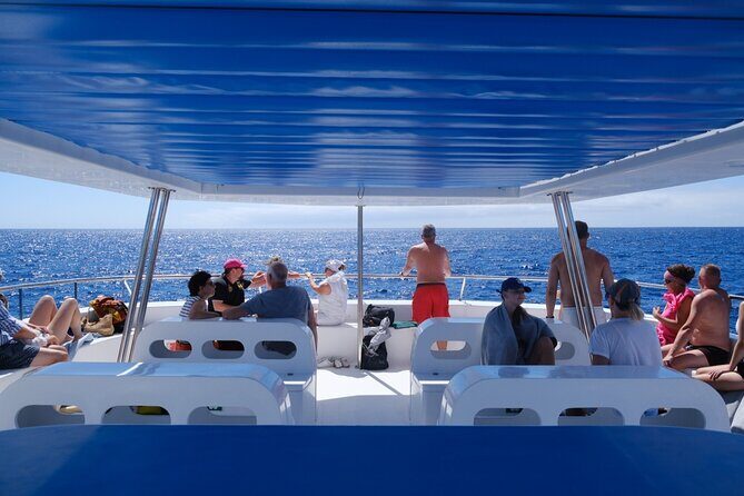 Madeira Dolphin and Whale Watching on a Ecological Catamaran - Final Thoughts