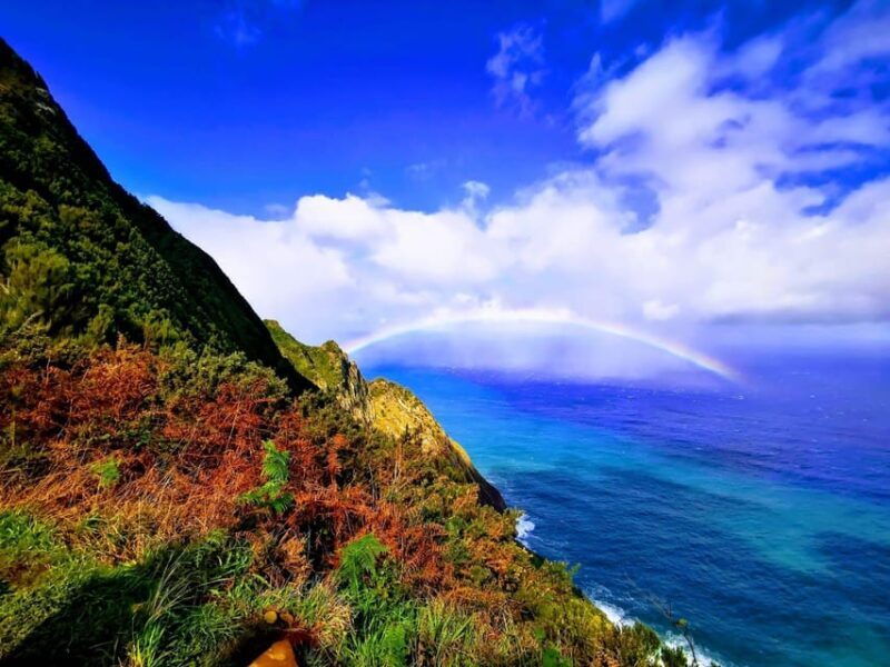 Madeira E-Buggy Adventure: 4x4 thrill & epic views! Book now - In-Depth Look at the Madeira E-Buggy Adventure