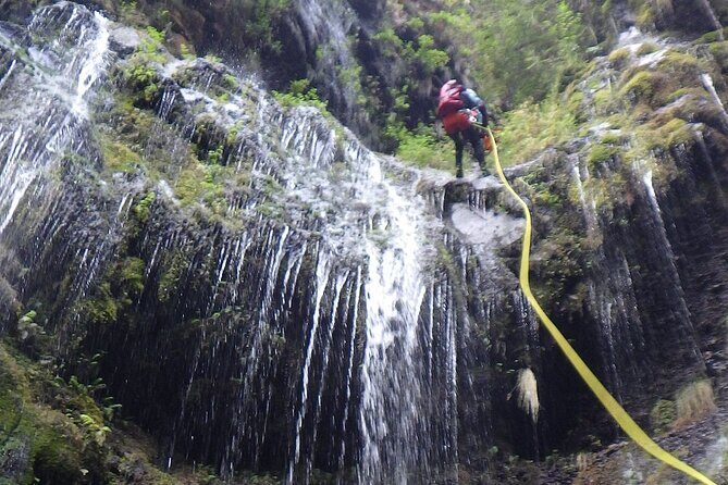 Madeira East Island Special & Levada Walking Tour with Meal and Drinks - The Value of This Tour